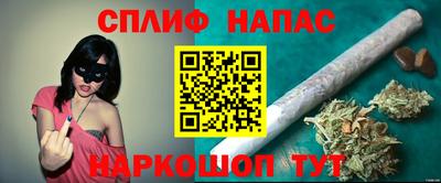 гашик Обь