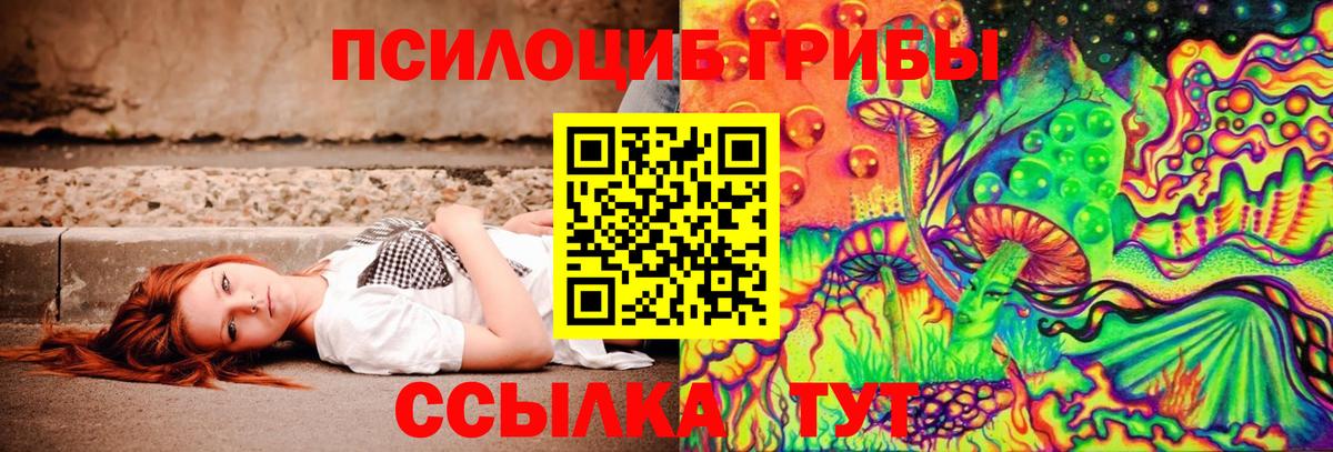 Советская Гавань  Псилоцибиновые грибы GOLDEN TEACHER  Вход с VPN 